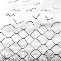 Liberating Structures